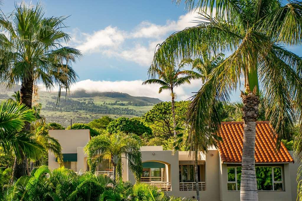 Palms At Apartment Wailea (Maui)
