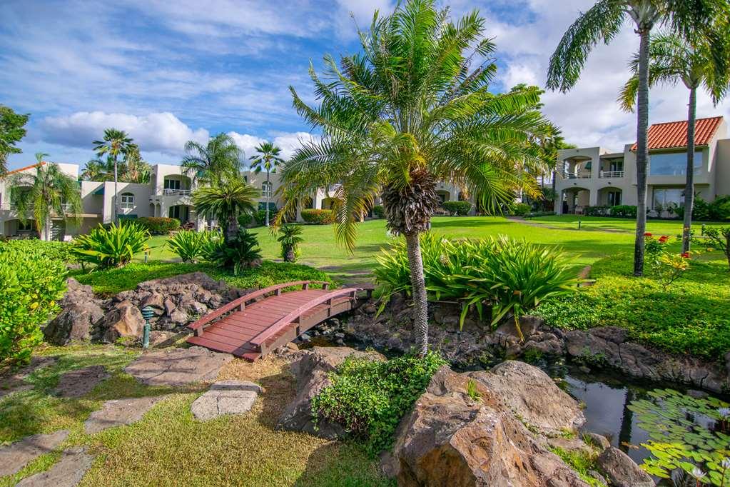 Apartment Palms At Wailea (Maui)