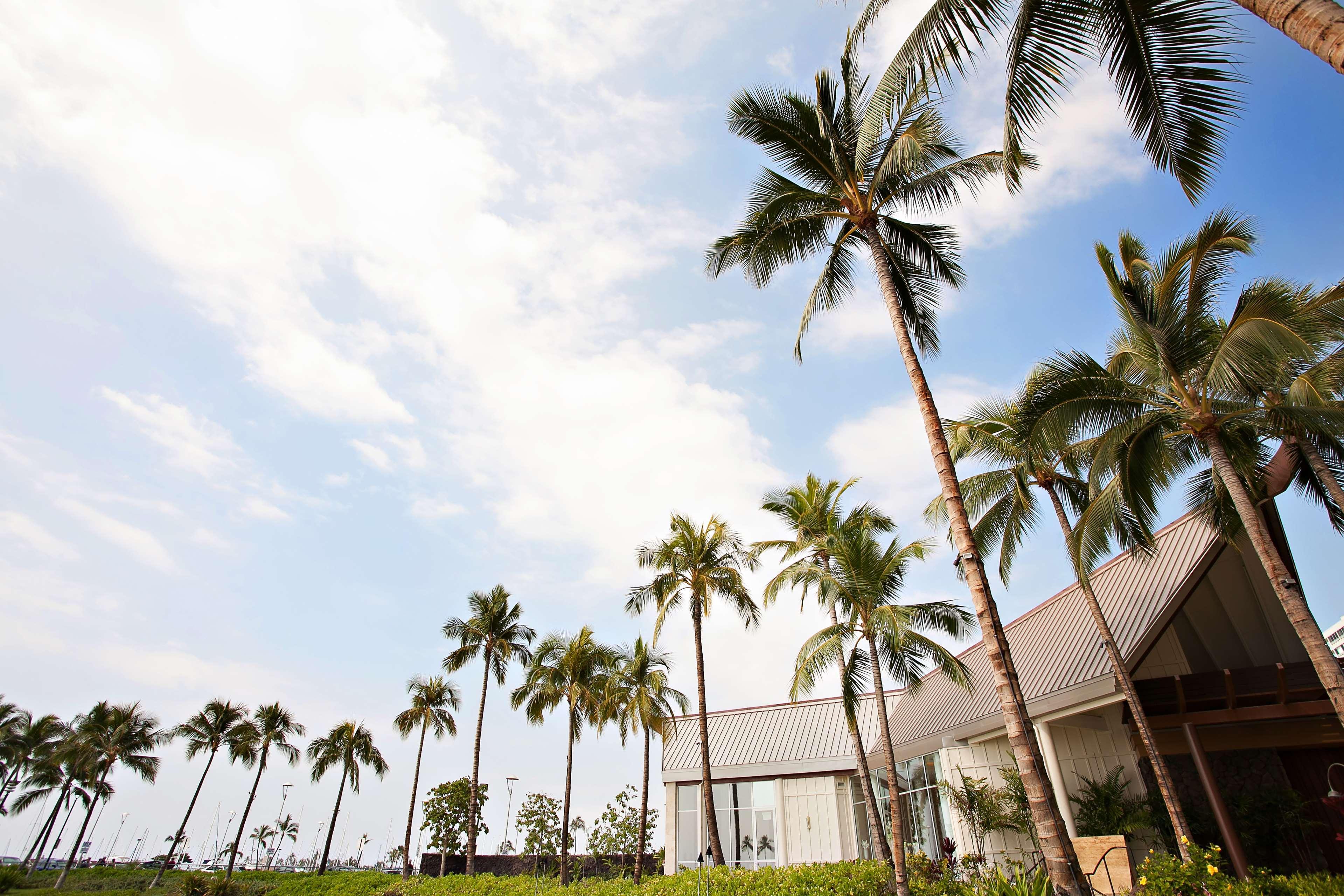 Hilton Hawaiian Village Waikiki
