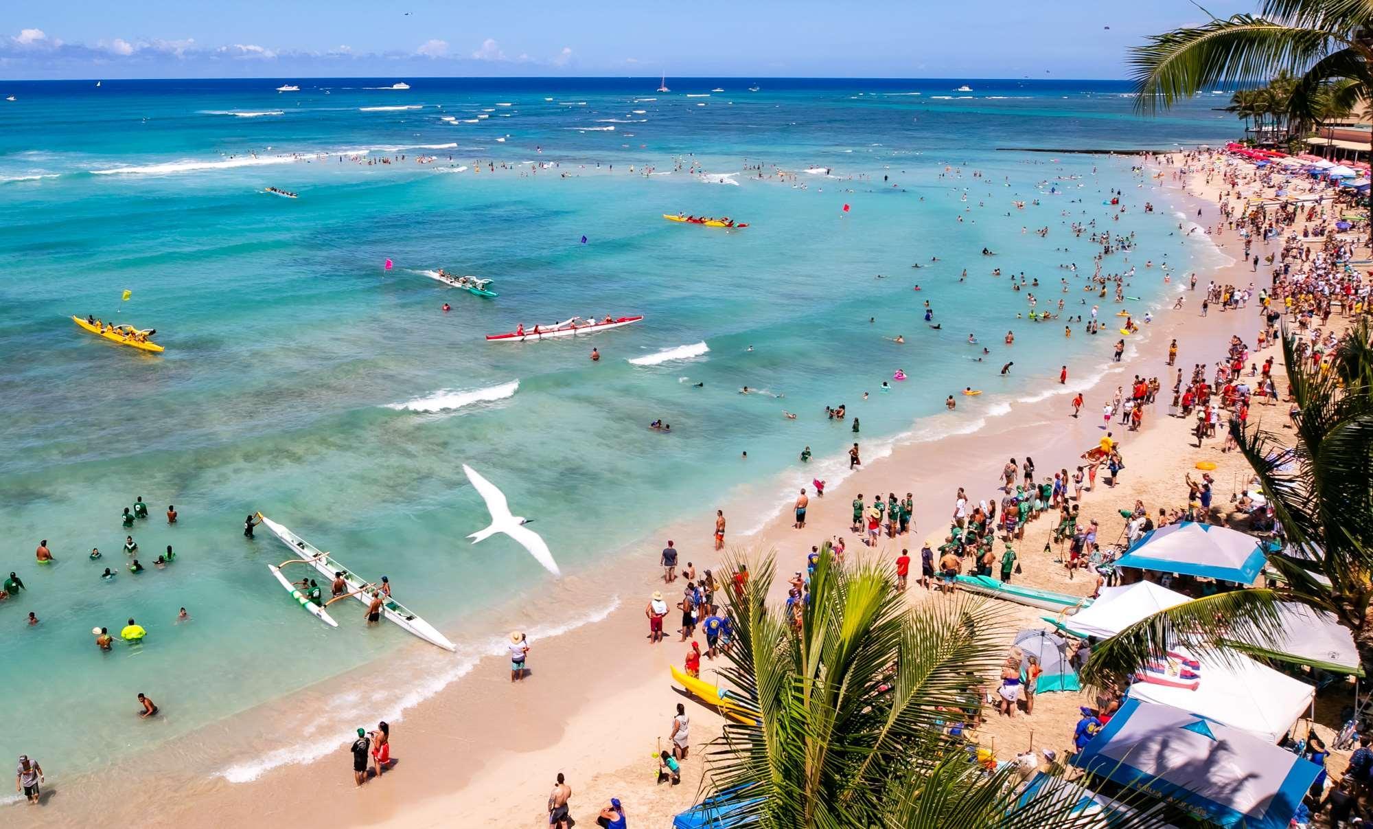Coconut Waikiki