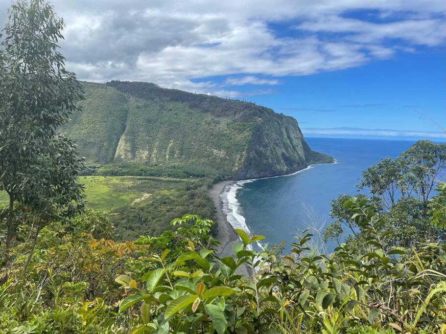Mauna Lani Palm H-4 Amazing View Corner Unit Holiday home