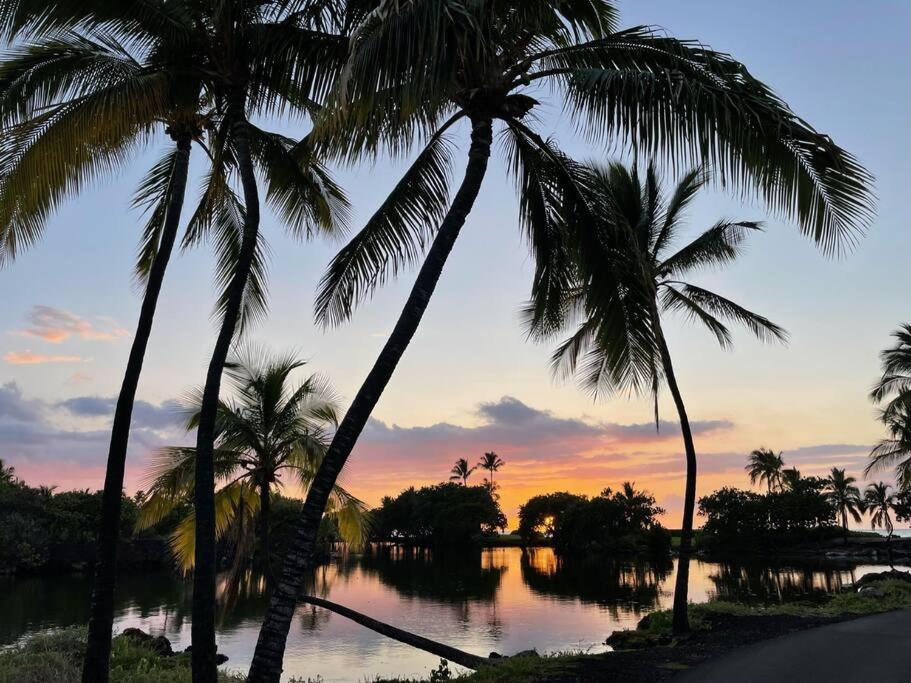 Holiday home Mauna Lani Palm H-4 Amazing View Corner Unit