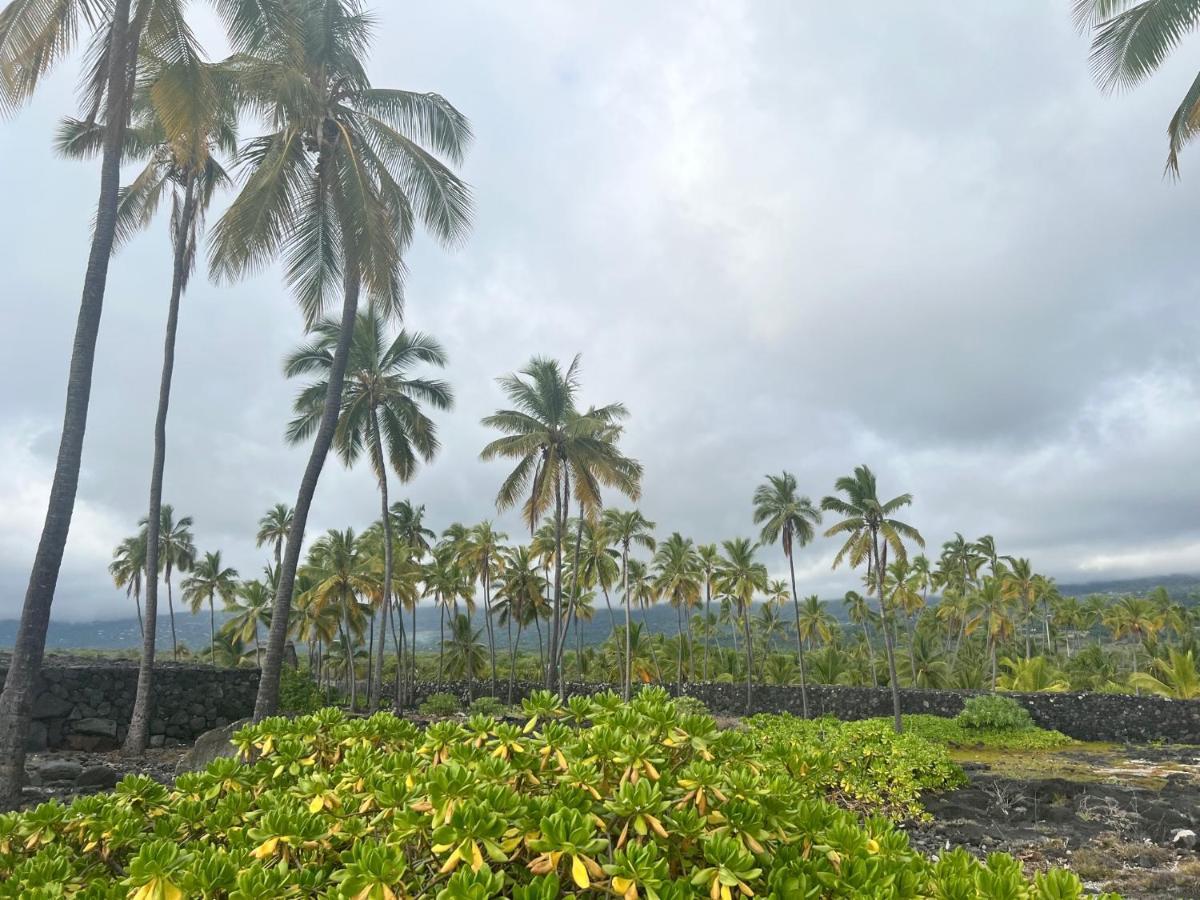 The Bali House And At Hawaii * Kehena