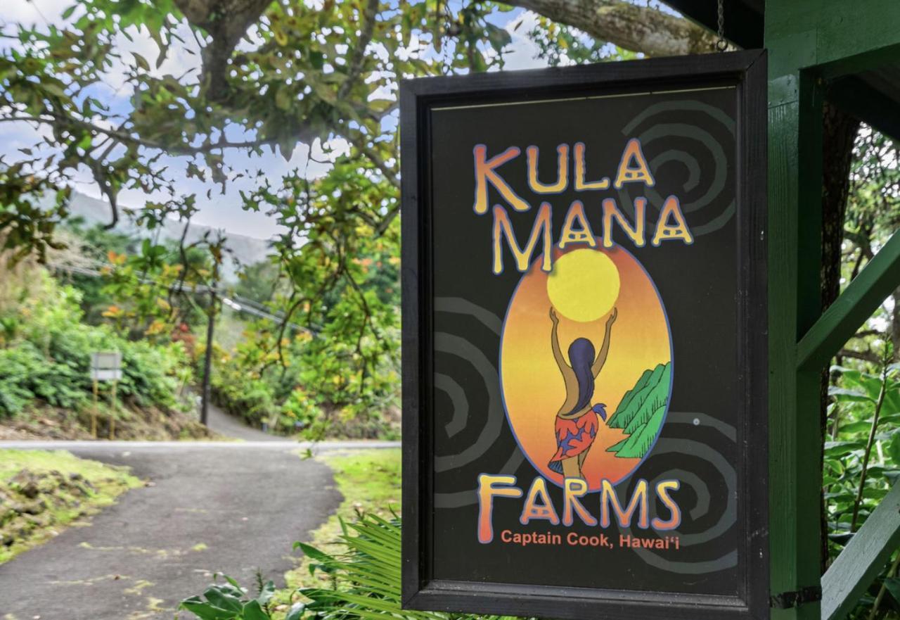 Kula Ohana * Captain Cook