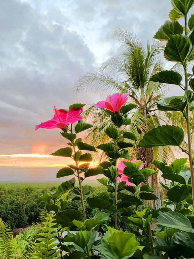 Kona Bayview Captain Cook
