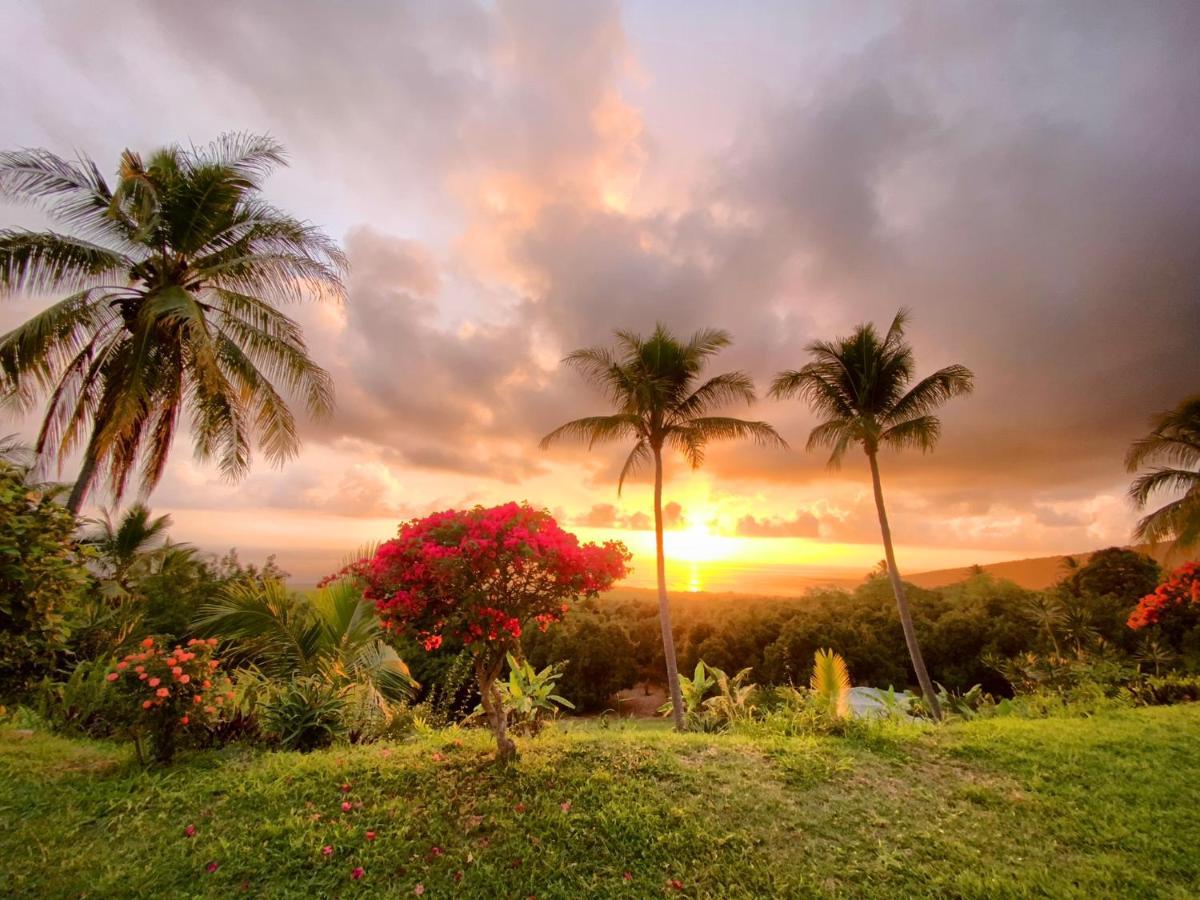 Bed & Breakfast Kona Bayview