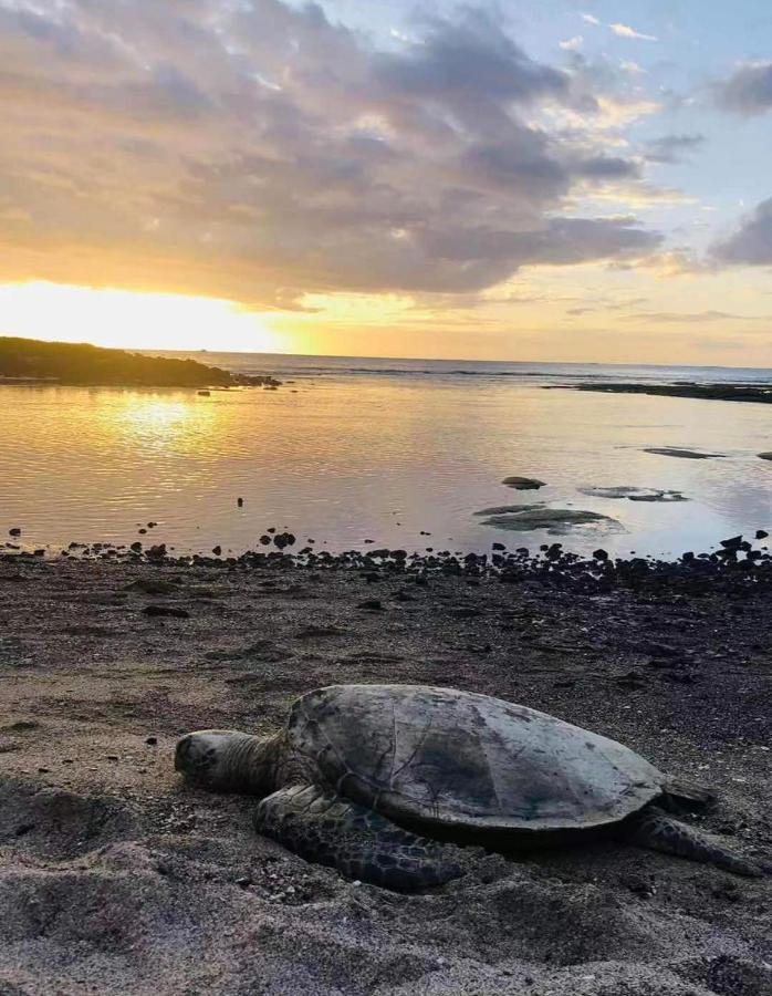 Alii * Kailua-Kona