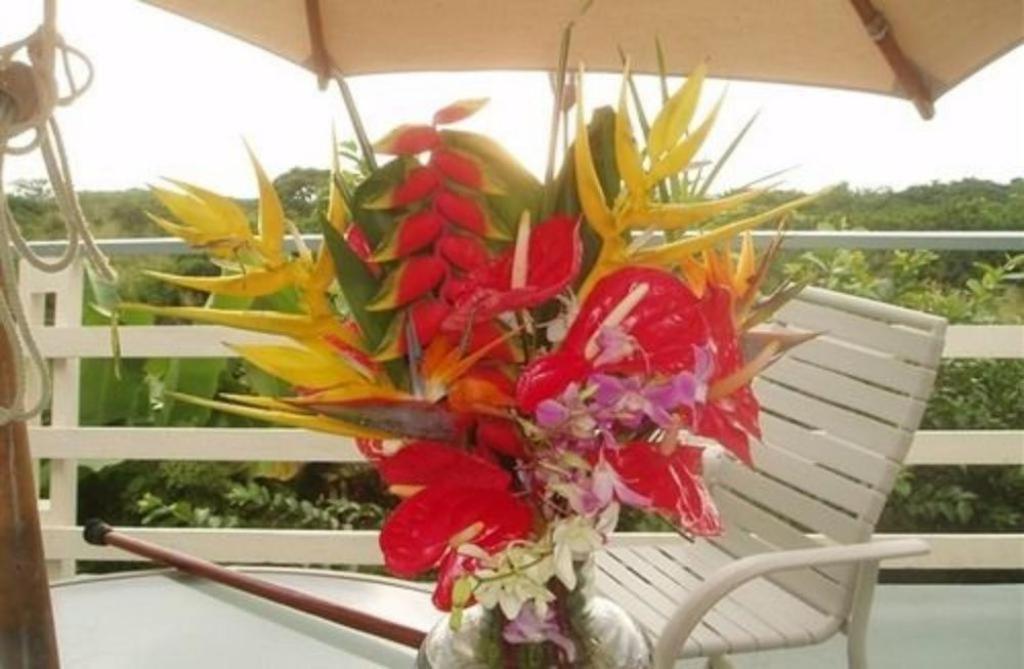 Hale-hoola Bed & Breakfast Captain Cook