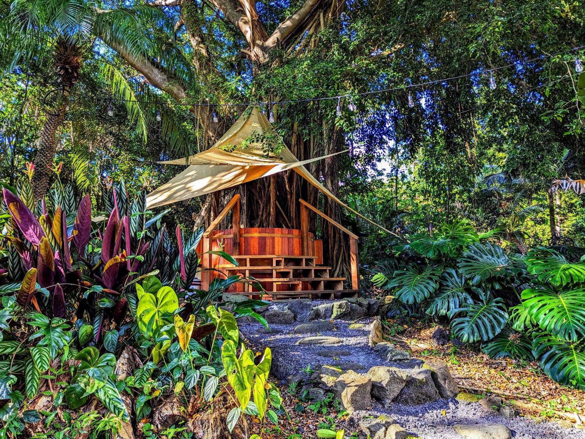Kehena Mauka Nui Club Lgbtqia+ Clothing Optional Pahoa