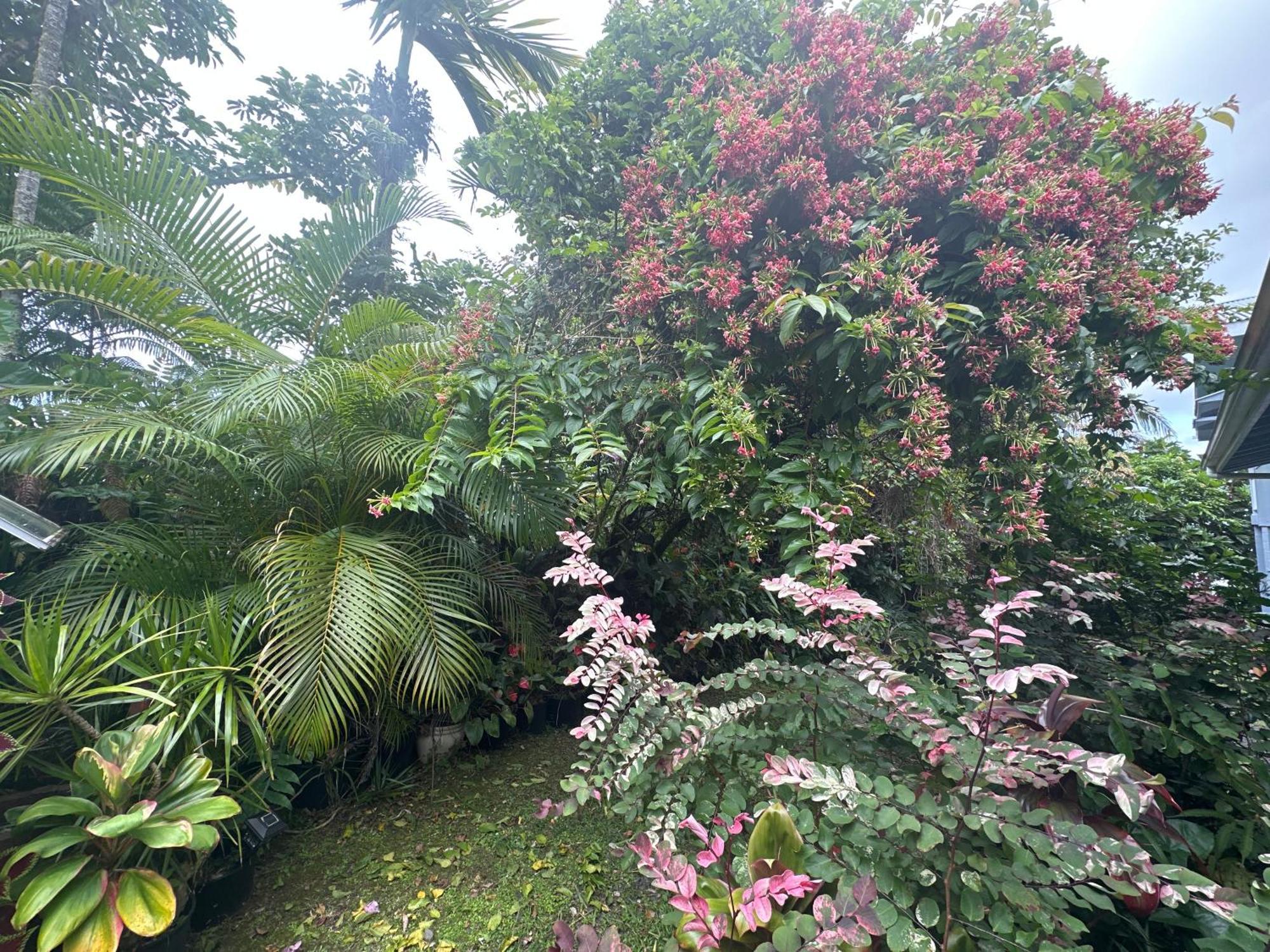 Bed & Breakfast Hawaiian Ohana Hilo