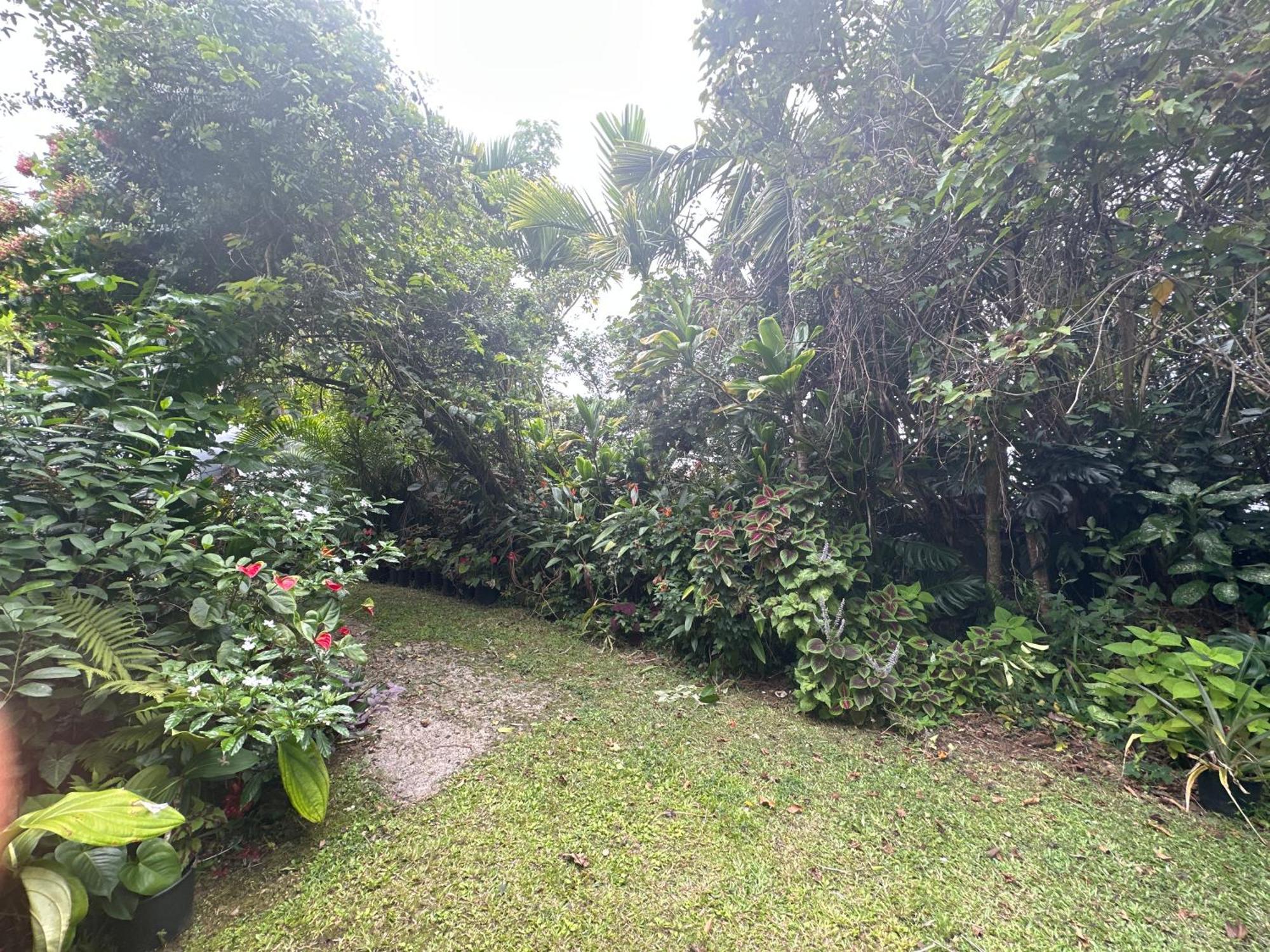 Hawaiian Ohana Bed & Breakfast