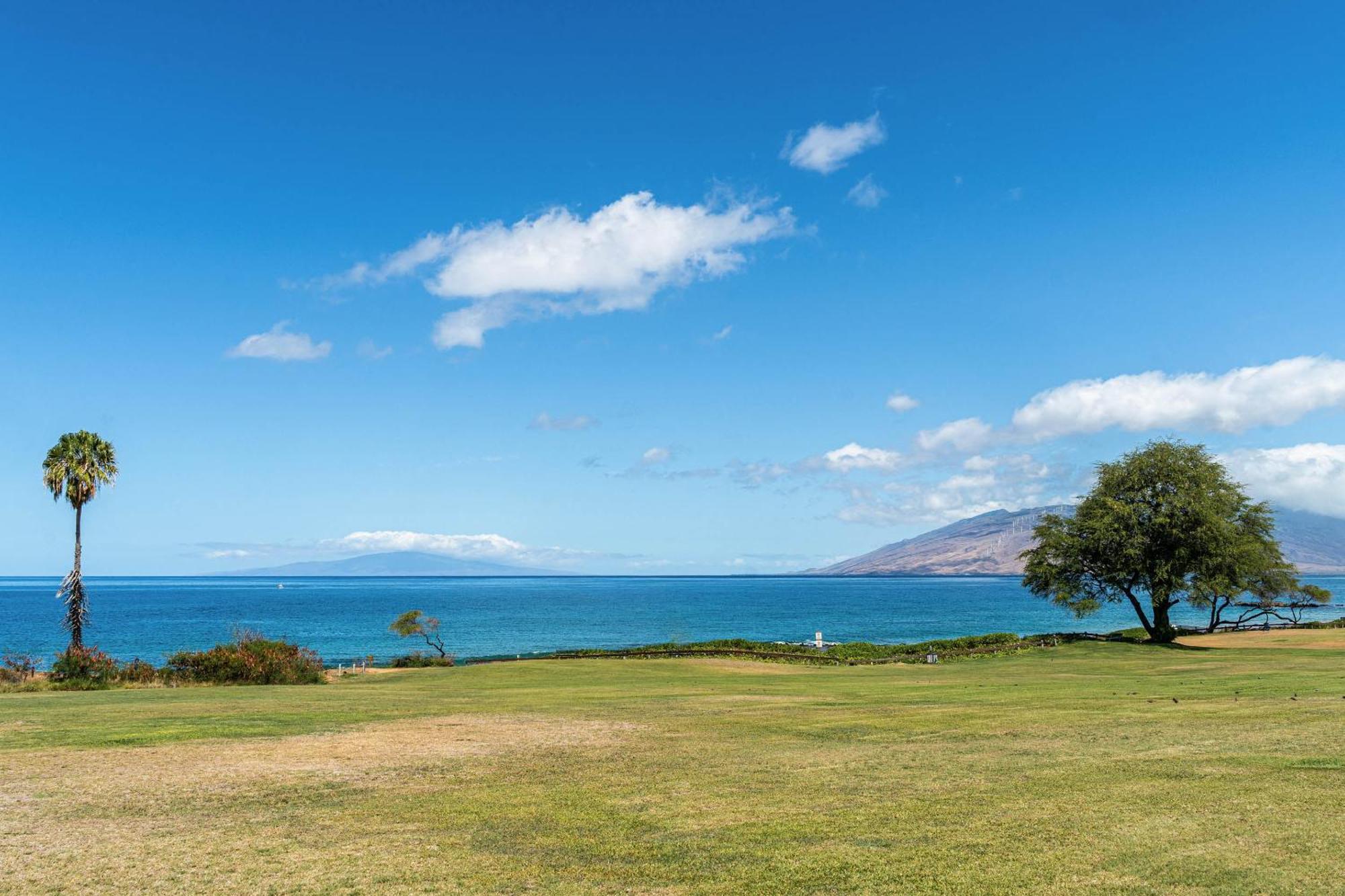 Kihei Akahi C-513 Apartment Wailea (Maui)