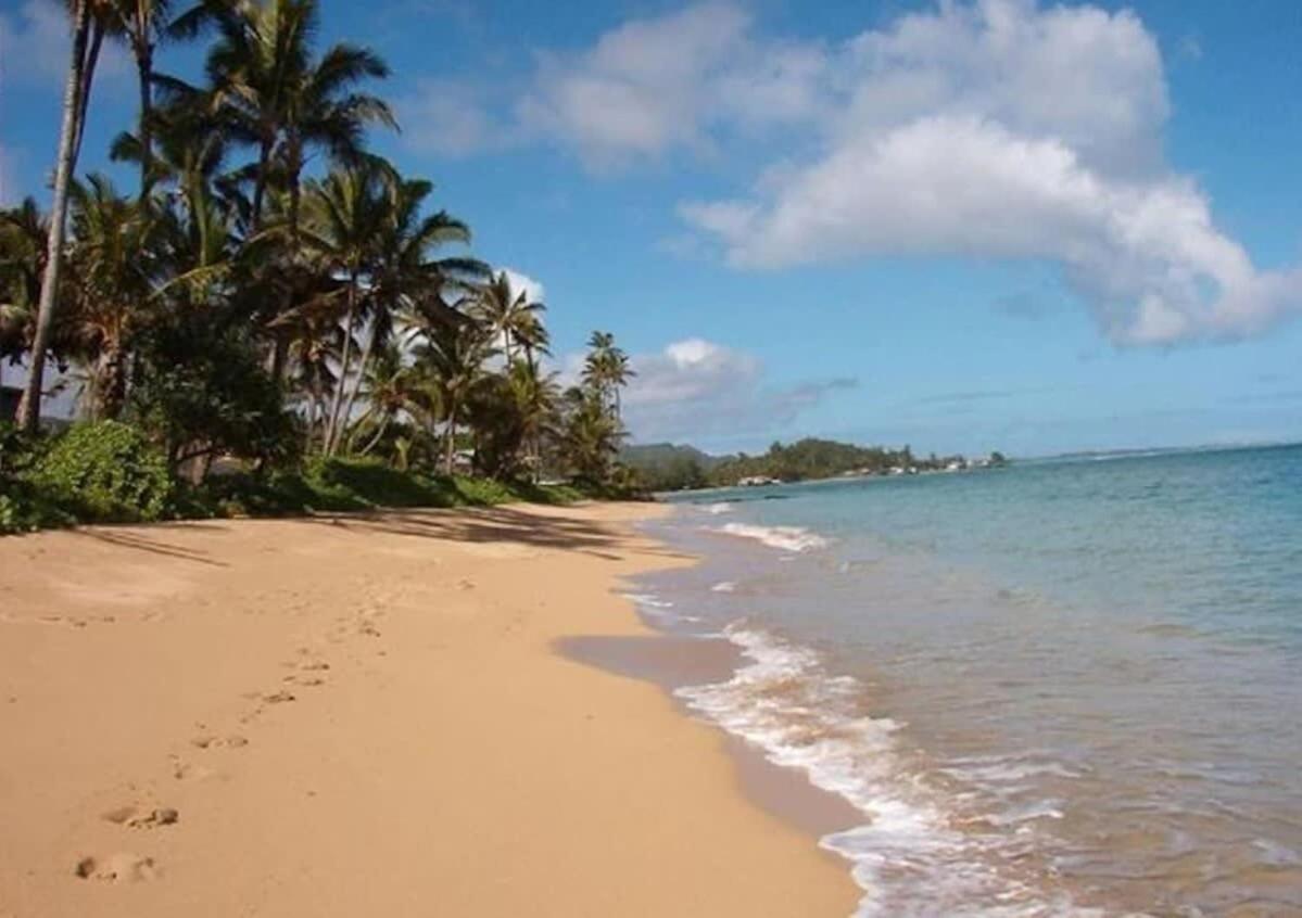 Luxury Beachfront