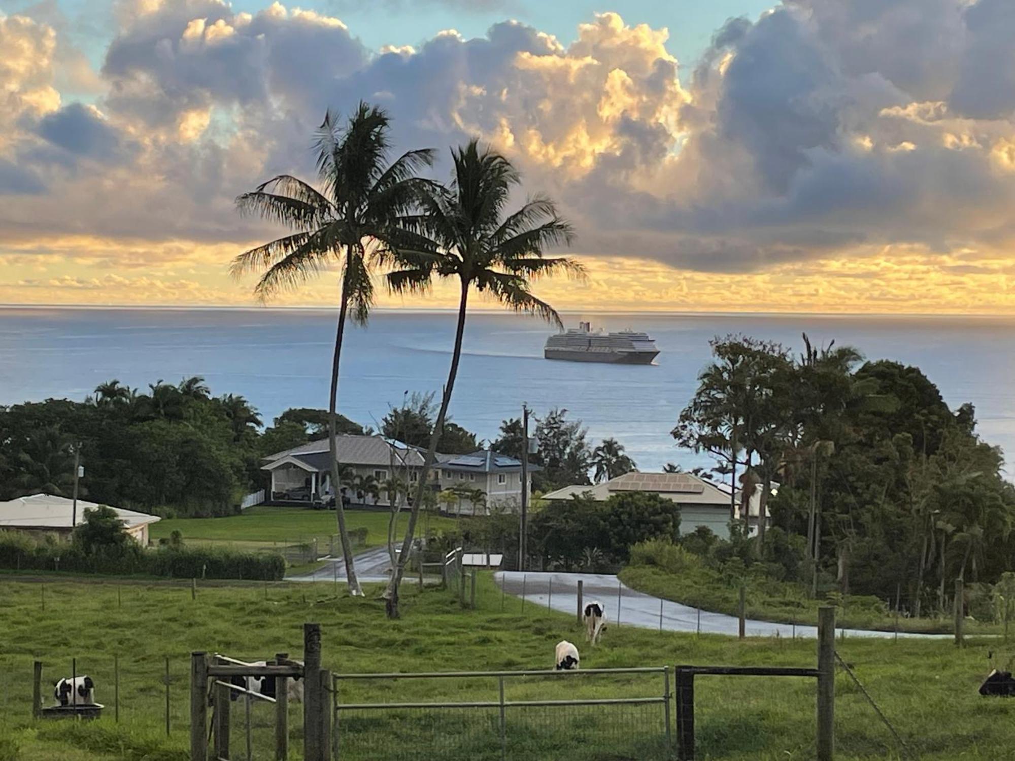 Hawaii Magic Skies Bed & Breakfast *