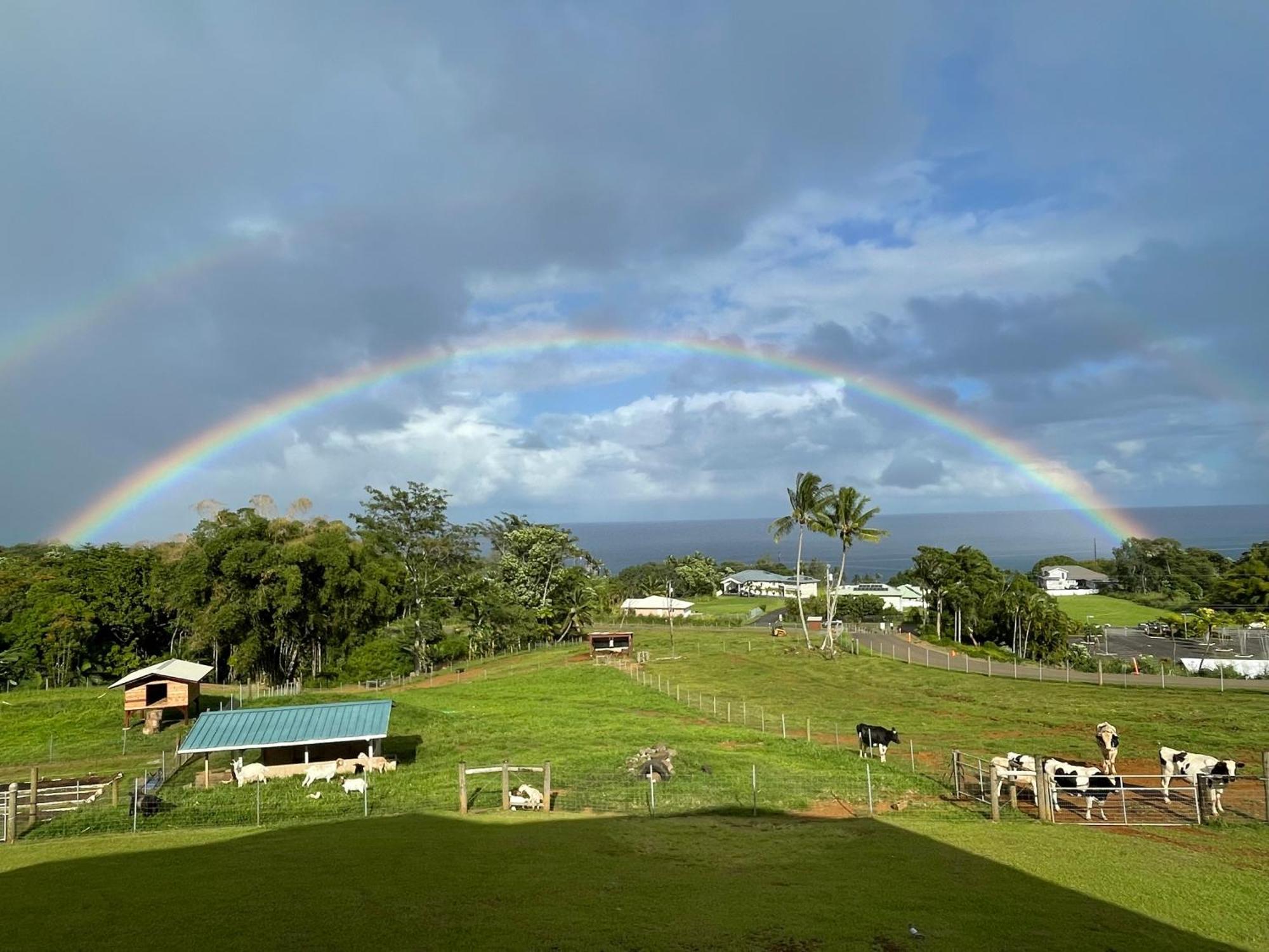 Hawaii Magic Skies Bed & Breakfast