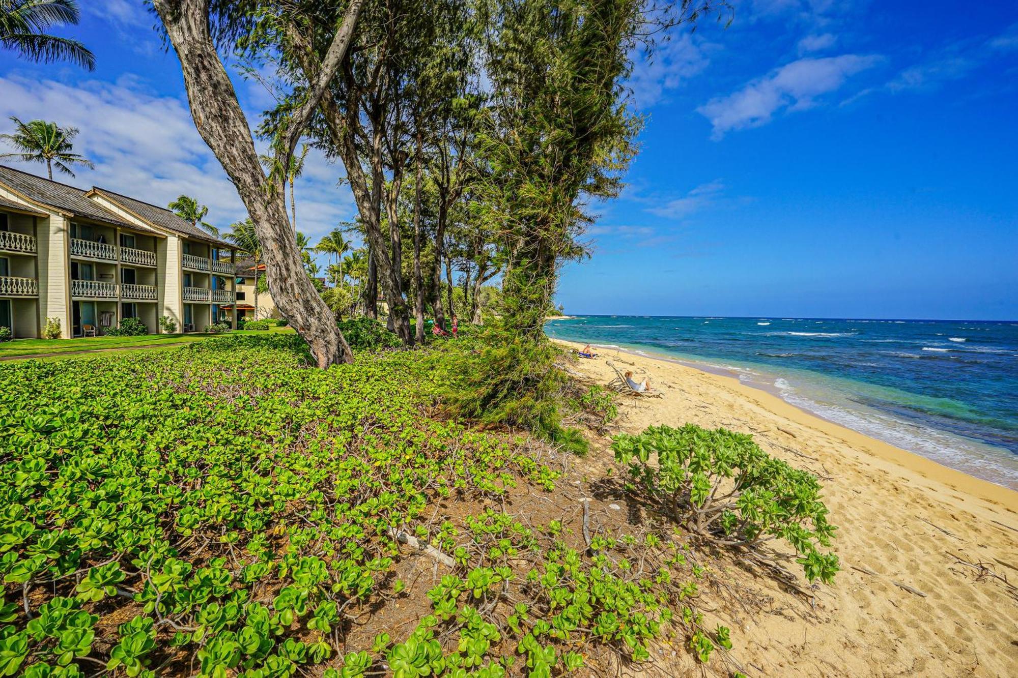 Islander On The 333 * Kapa'a