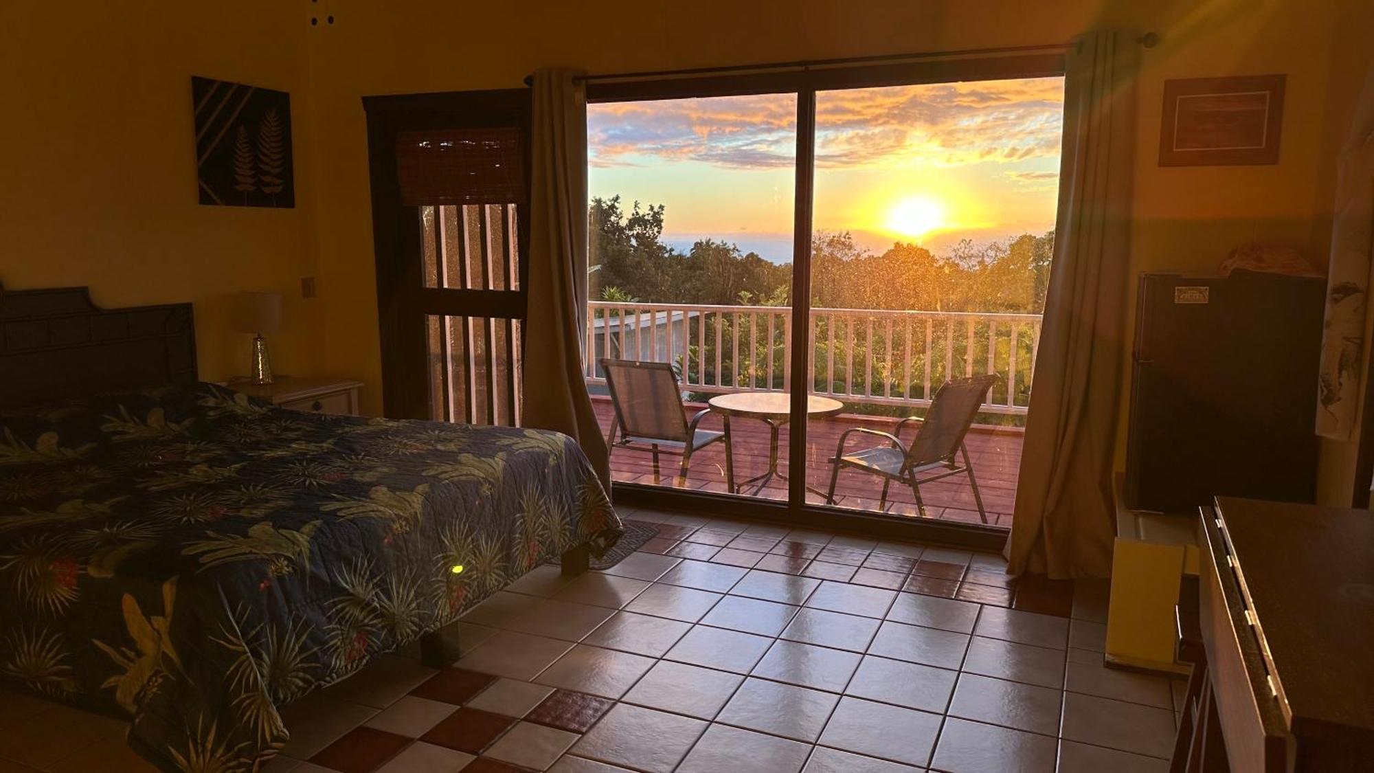 Coffee Garden Bed & Breakfast Captain Cook
