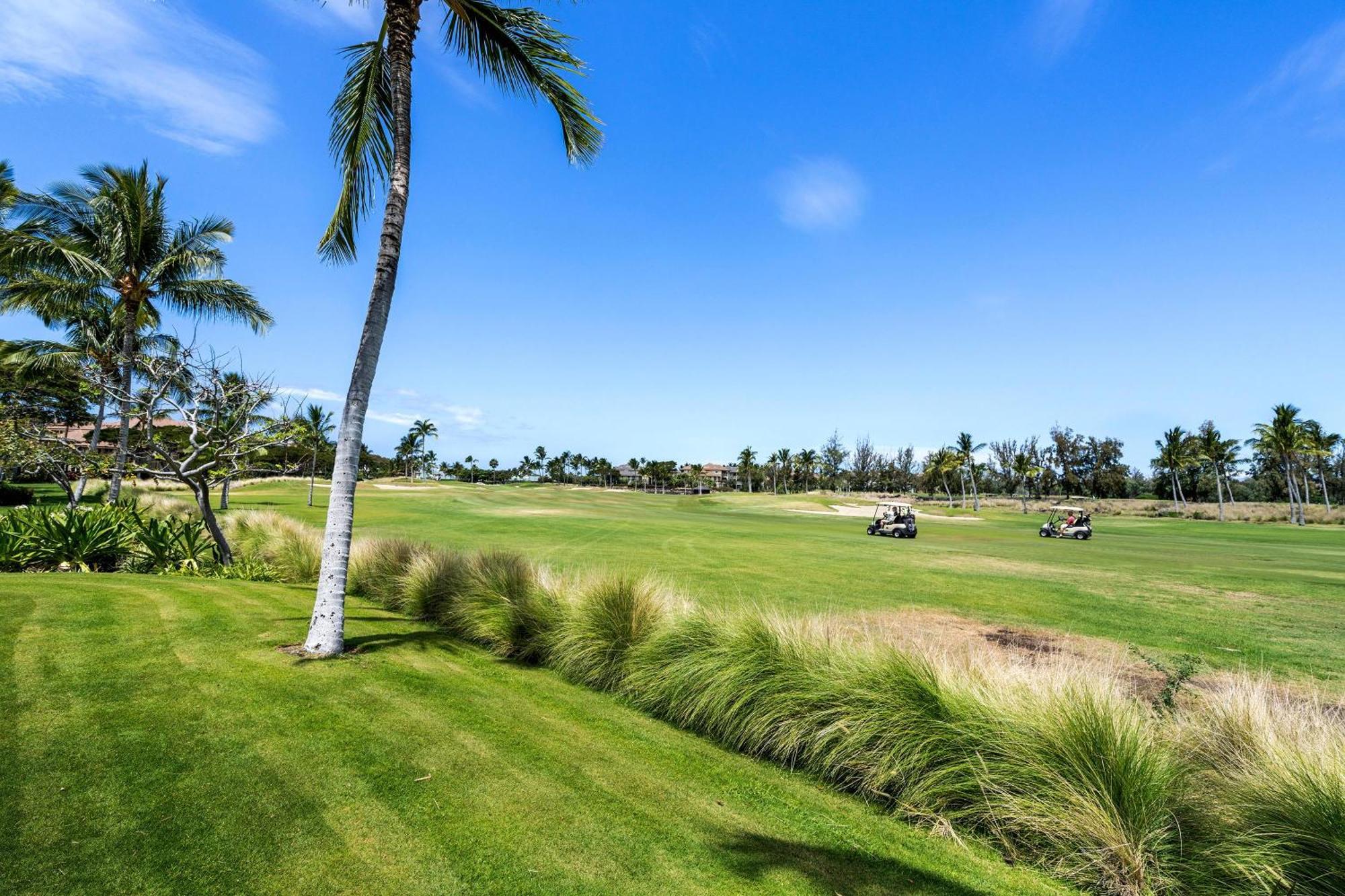M2 Holiday home Waikoloa