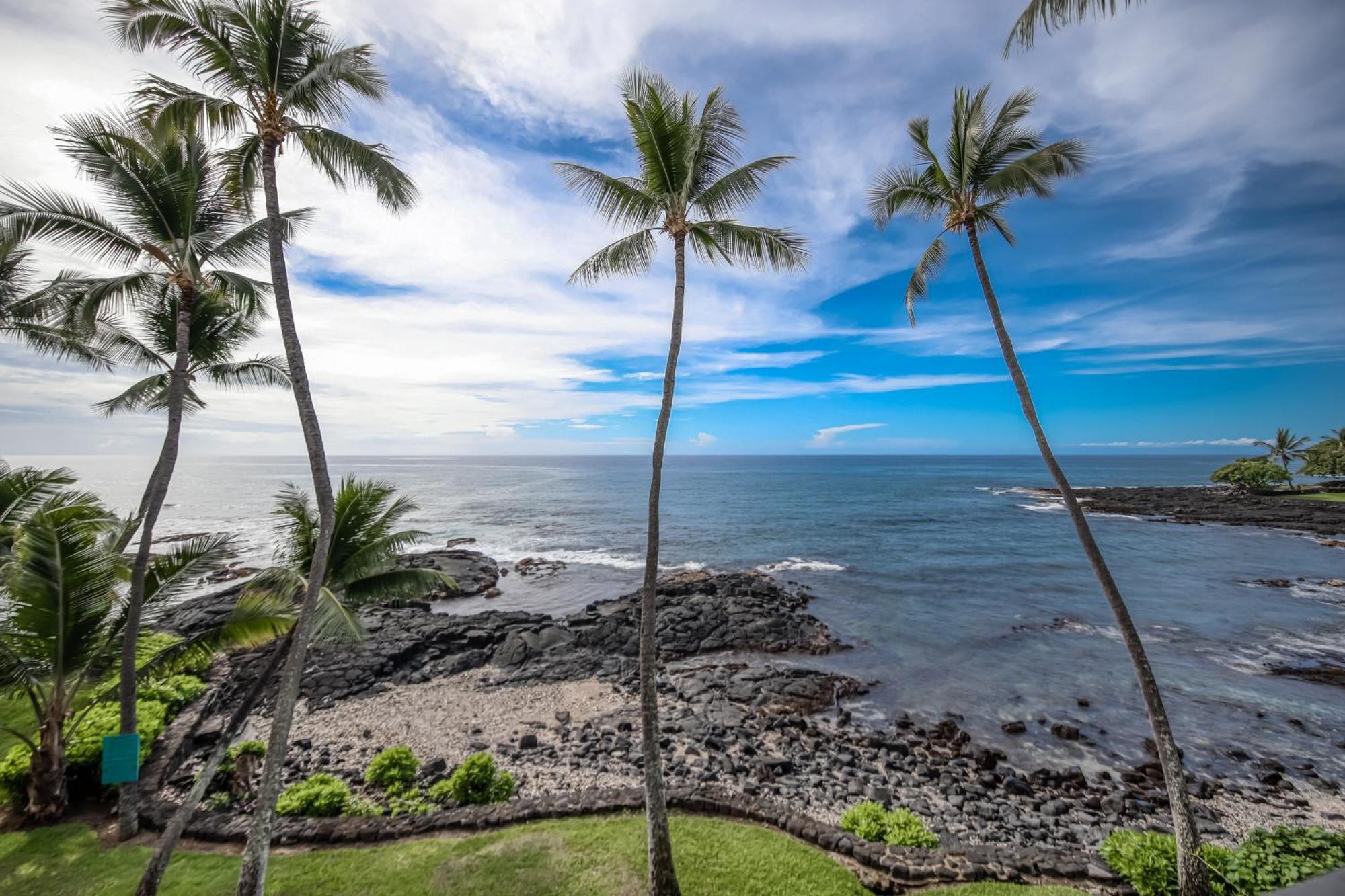Kona Bali Kai #205