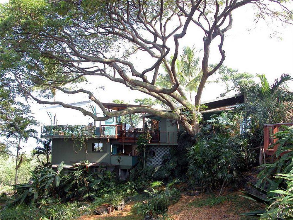 Dragonfly Ranch & Eco-spa