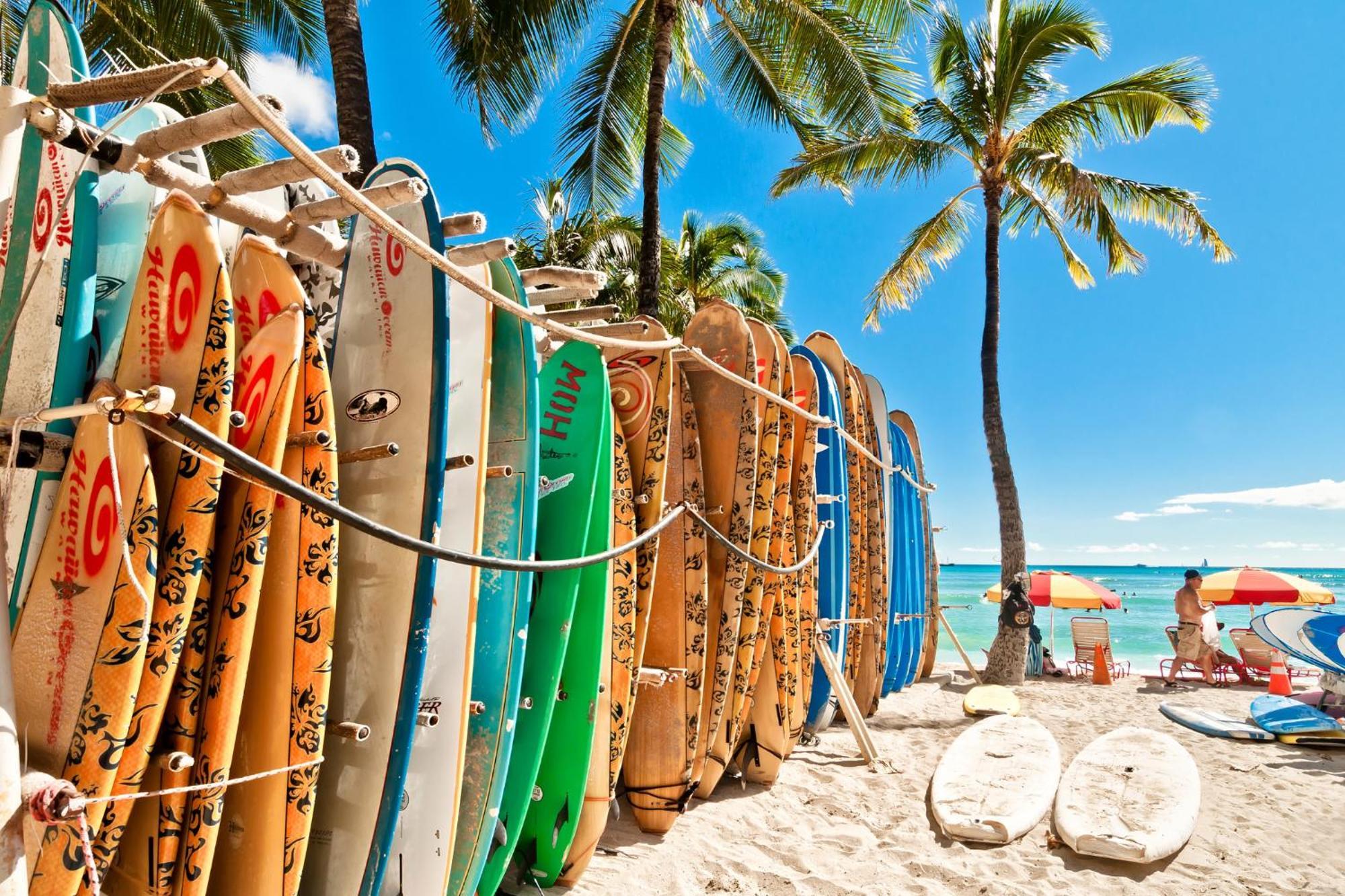 Apartment Aloha Vibes With Ocean Views, Near & Parking! *
