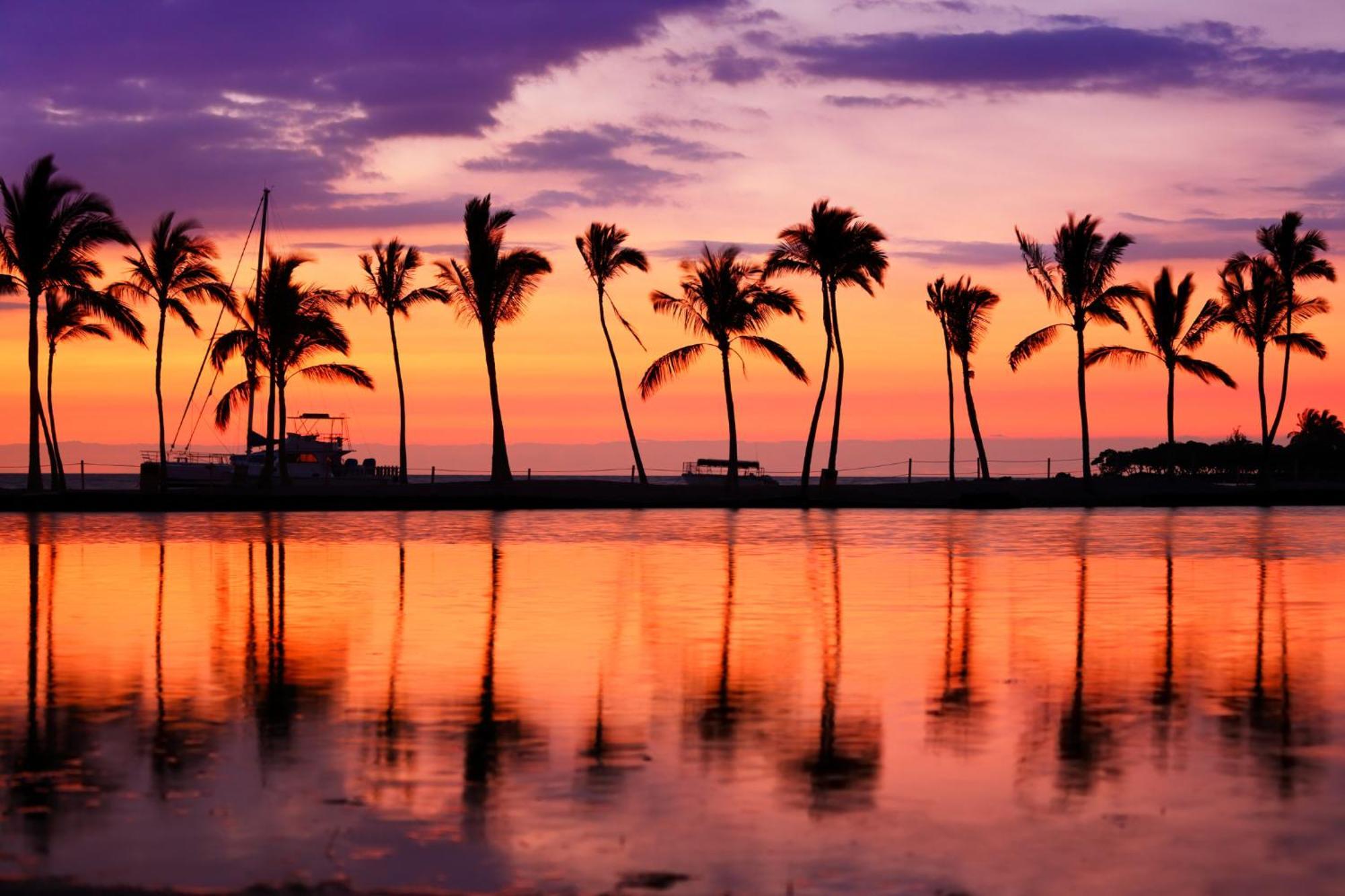 Aloha Vibes With Ocean Views, Near & Parking! *
