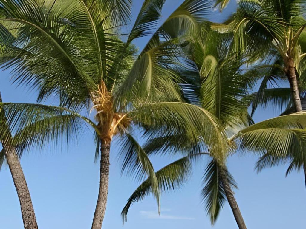 Wyndham Royal Sea Cliff 3* Kailua-Kona