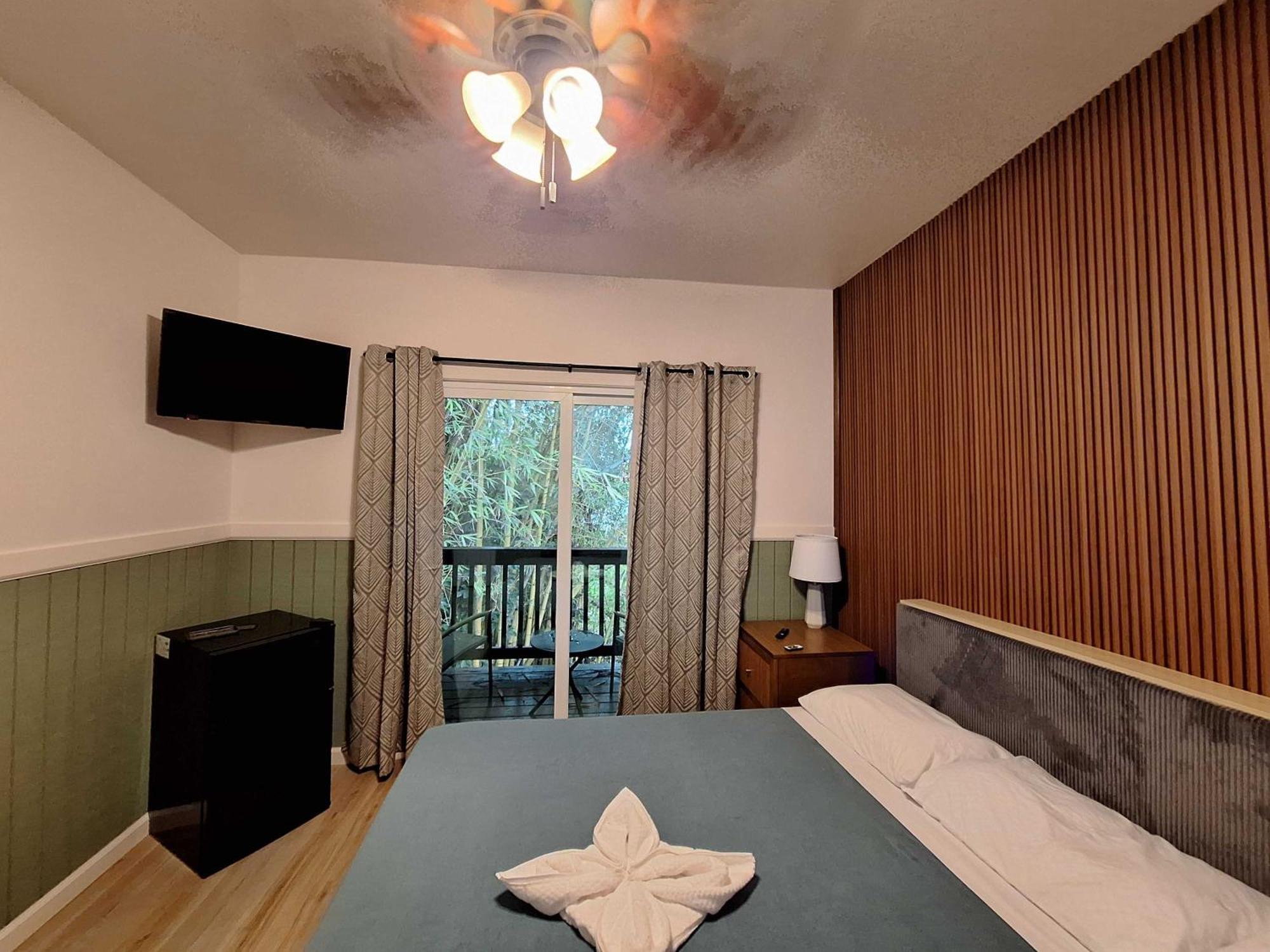 Wild Ginger 3*