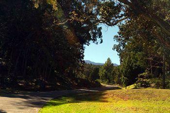 Hamakua Ranch House (adults Only) Bed & Breakfast