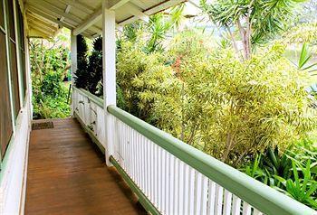 Hotel Plantation 4*