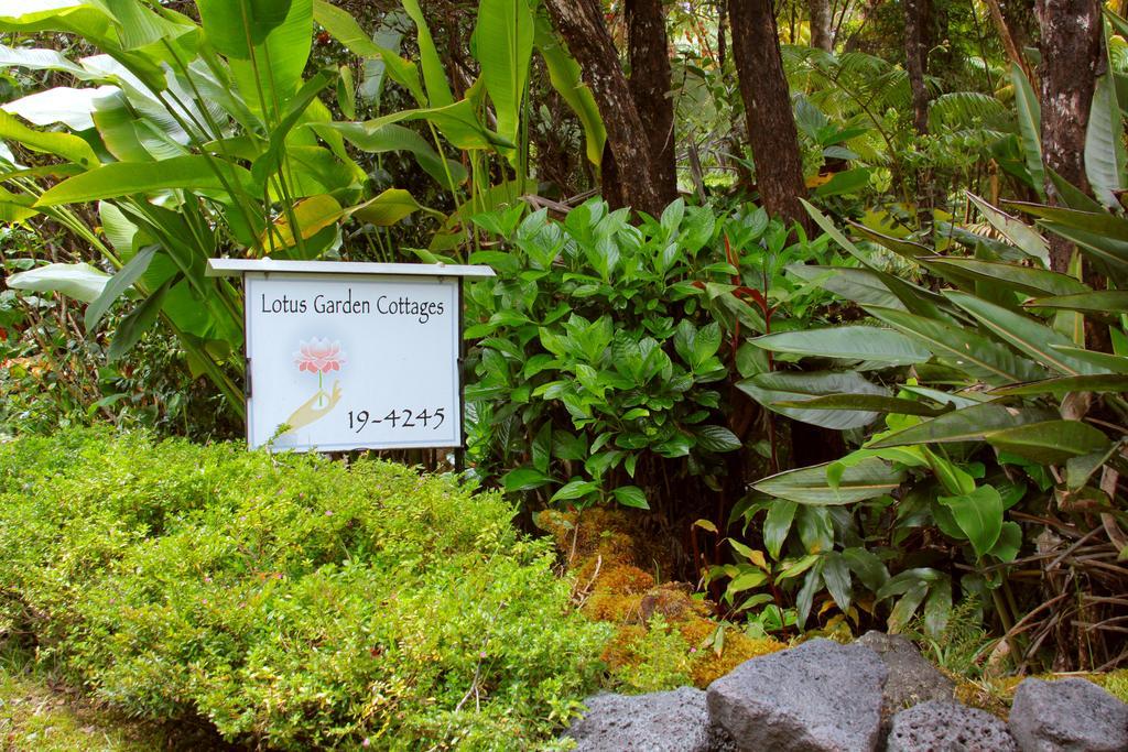 Lotus Garden 3*