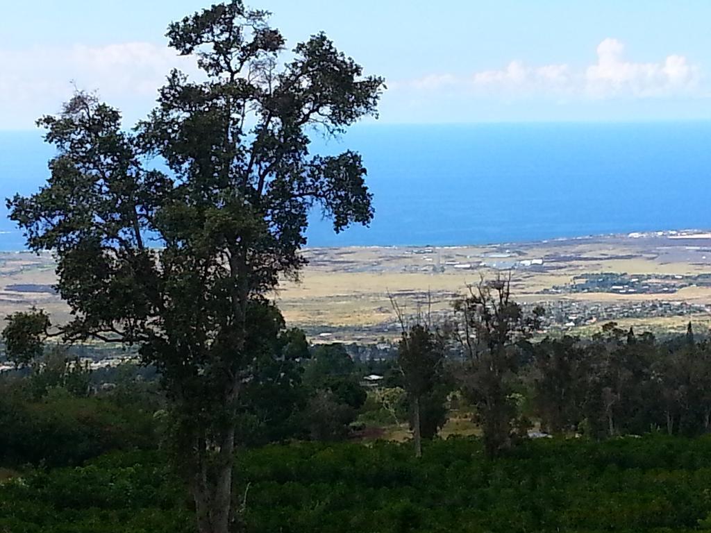 Bed & Breakfast Mango Sunset At Lyman Organic Kona Coffee Farms 4*