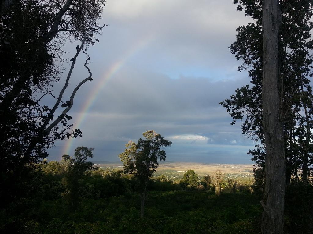Bed & Breakfast Mango Sunset At Lyman Organic Kona Coffee Farms