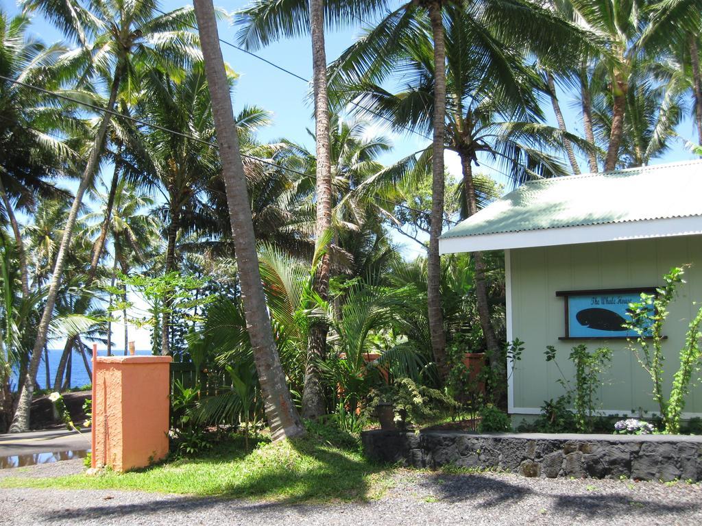 Whale House At Kehena Pahoa
