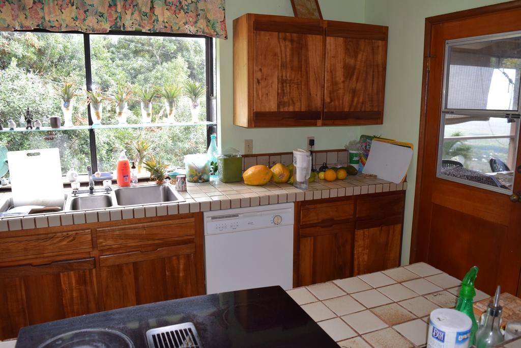 Bed & Breakfast A Beautiful Edge Of The World Captain Cook