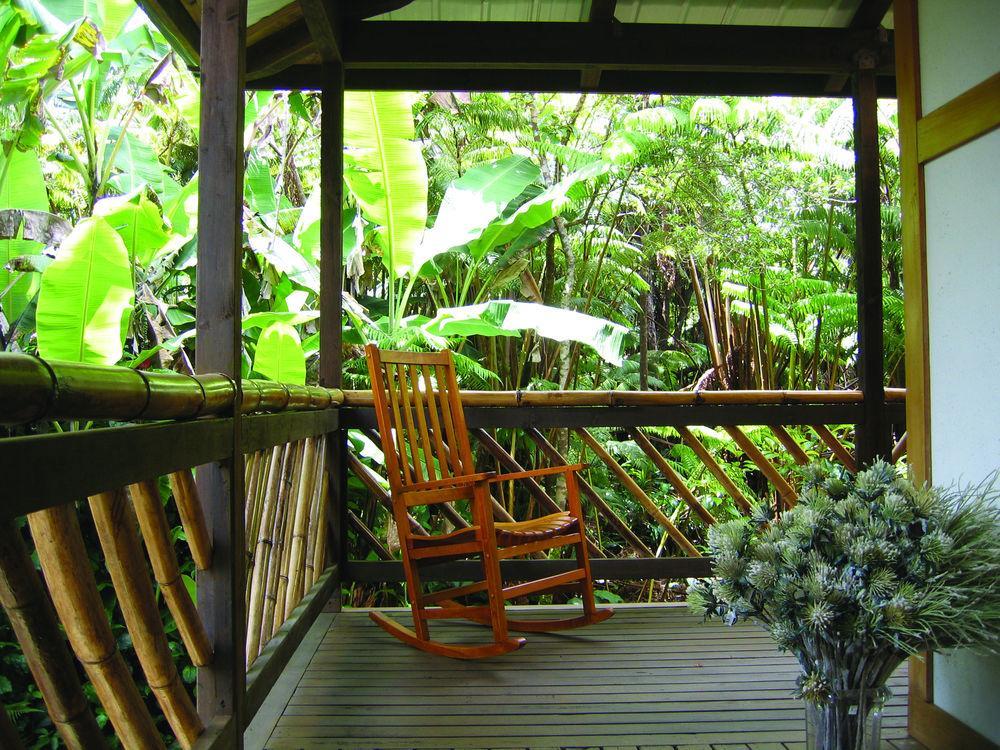 Bed & Breakfast Lotus Garden