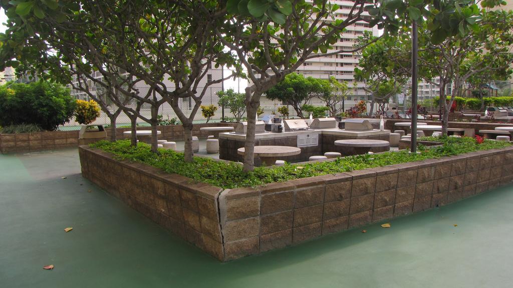 The Ali'i At Waikiki Banyan * Honolulu