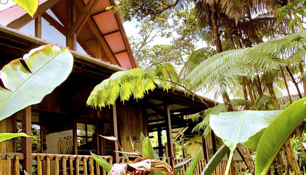 Lotus Garden Bed & Breakfast 3*
