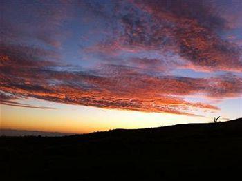 Hamakua Ranch House (adults Only) Bed & Breakfast
