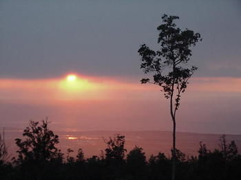 Mango Sunset At Lyman Organic Kona Coffee Farms Bed & Breakfast 4*