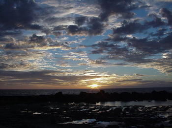 Mango Sunset At Lyman Organic Kona Coffee Farms 4*