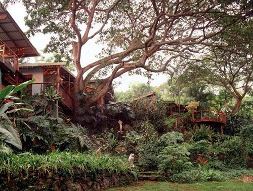 Guest house Dragonfly Ranch & Eco-spa