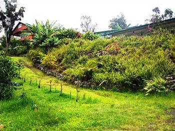 Bed & Breakfast Mango Sunset At Lyman Organic Kona Coffee Farms