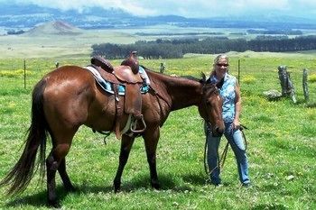 Bed & Breakfast Aloha Happy Place 4*