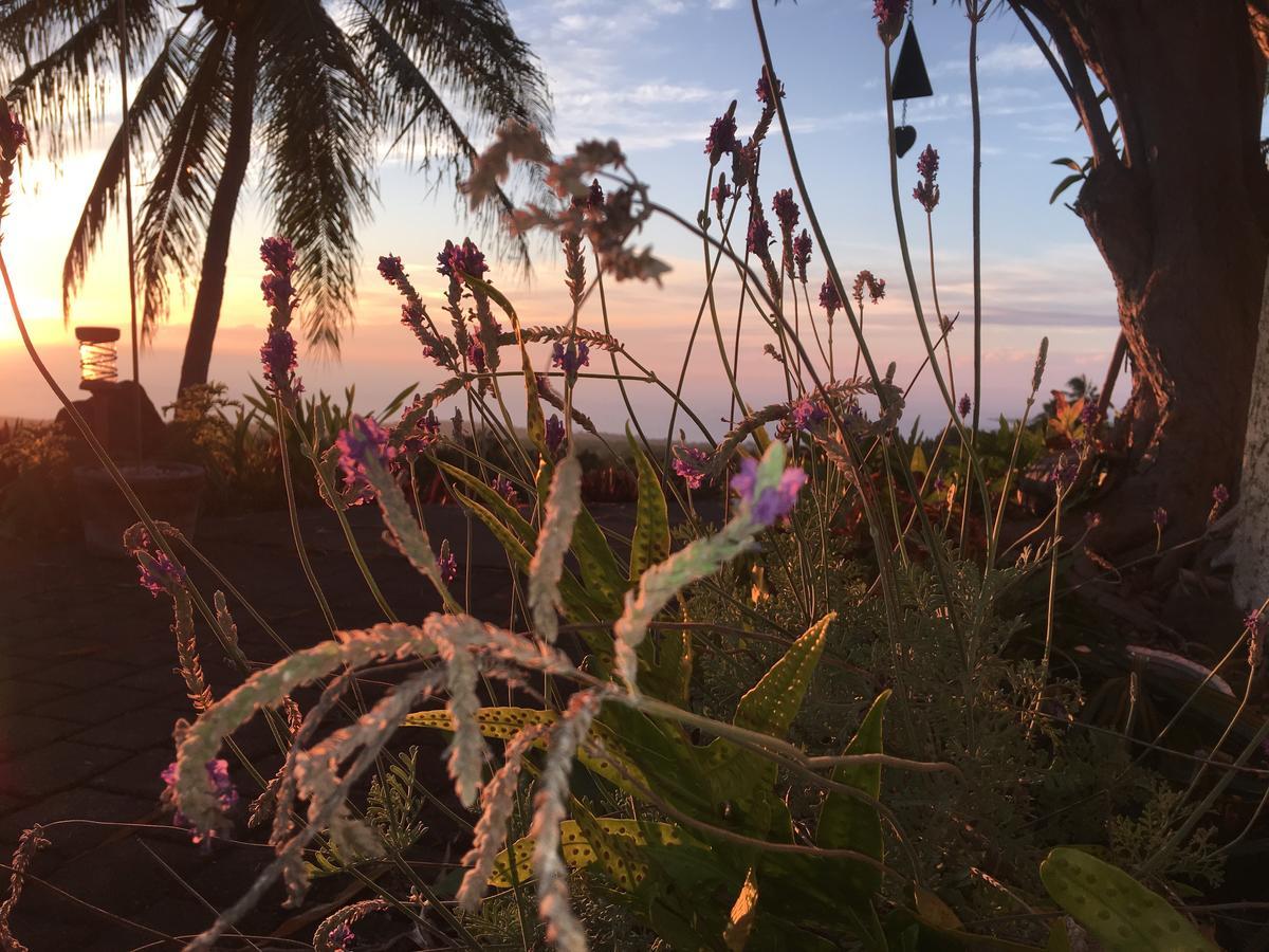 Kona Bayview Bed & Breakfast 3*