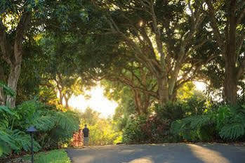 Inn Holualoa Inn 5*