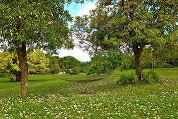 Kalani Lodge *