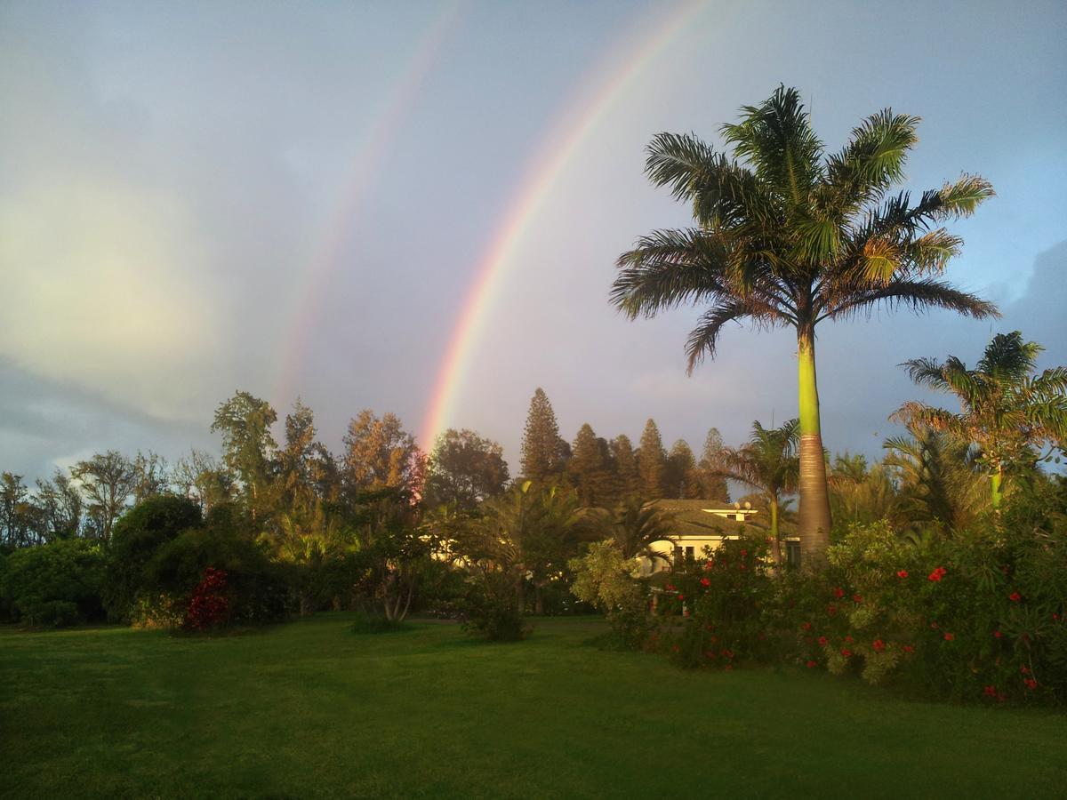 Hawaii Island Retreat At Ahu Pohaku Ho'omaluhia Lodge Kapaau