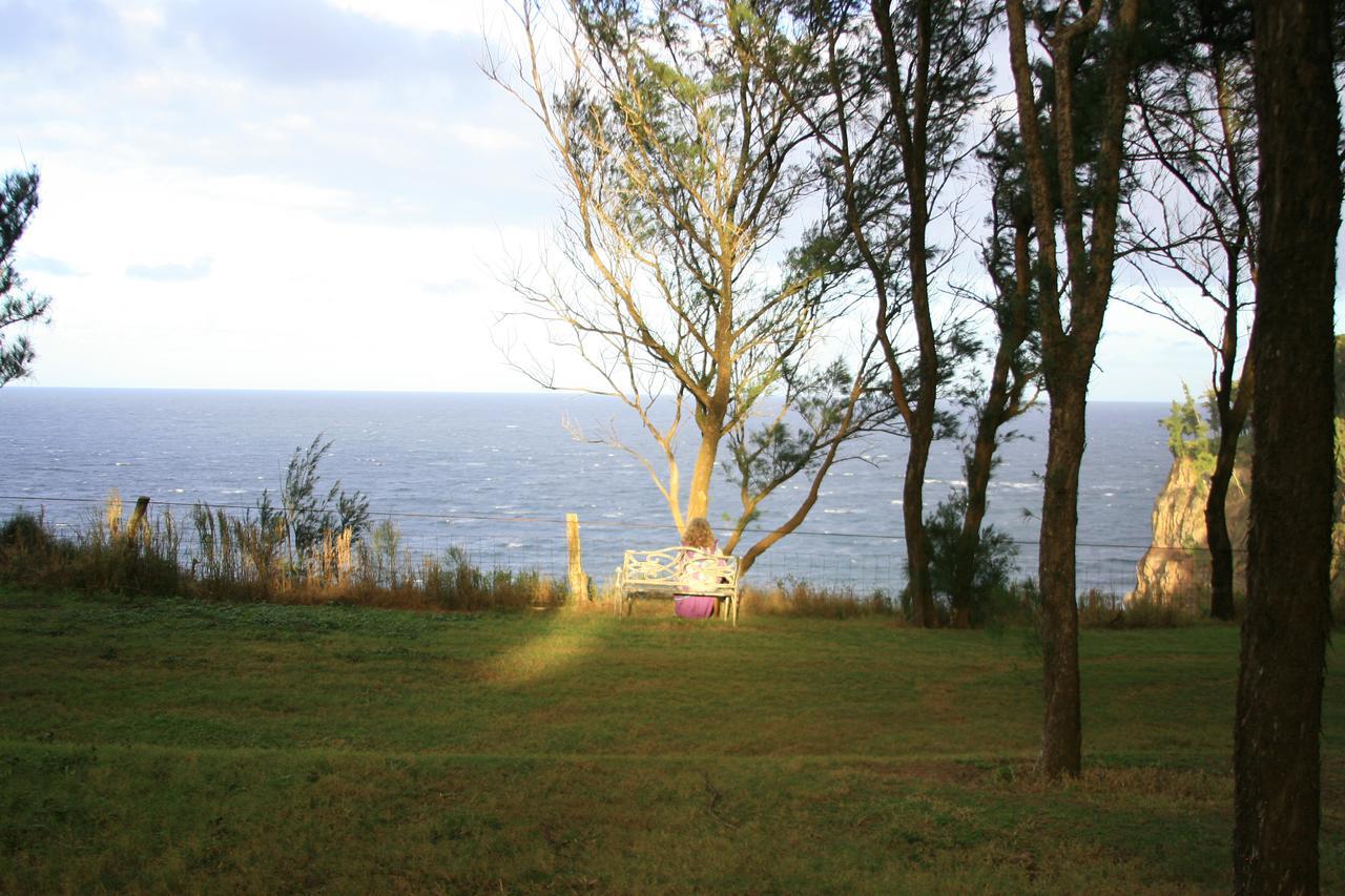 Hawaii Island Retreat At Ahu Pohaku Ho'omaluhia Lodge *