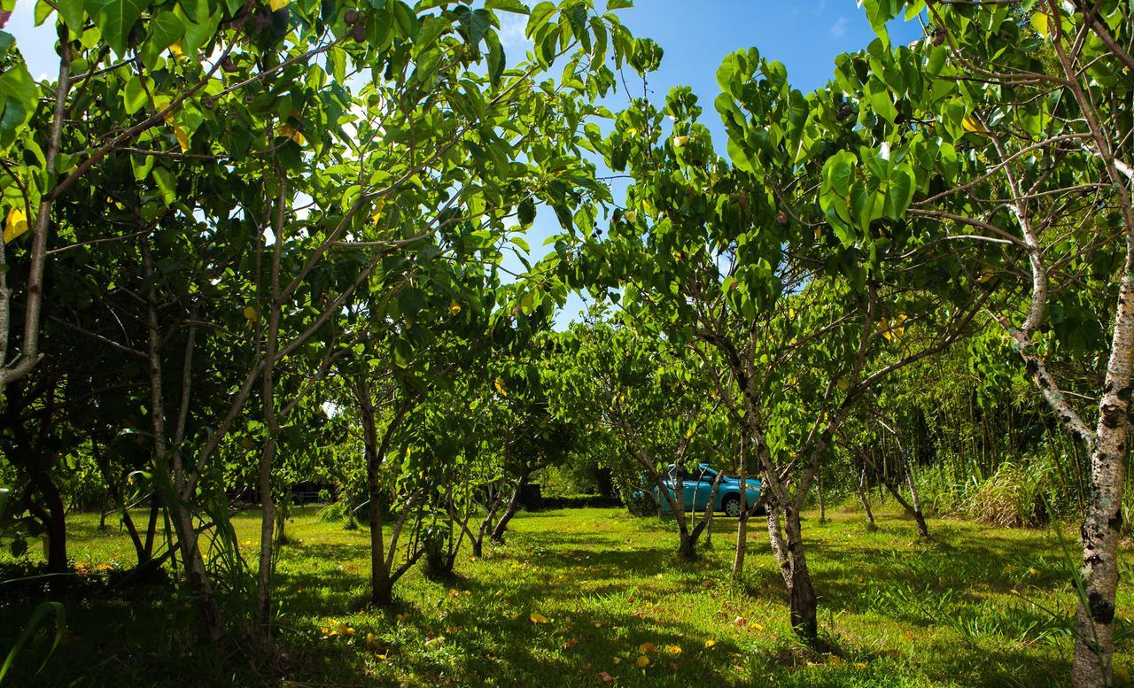 Hotel Kirpal Meditation And Ecological Center 2*
